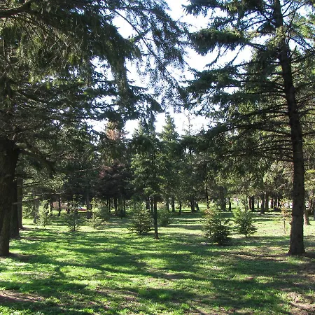 Hotel Bon Bon Park & Boyana