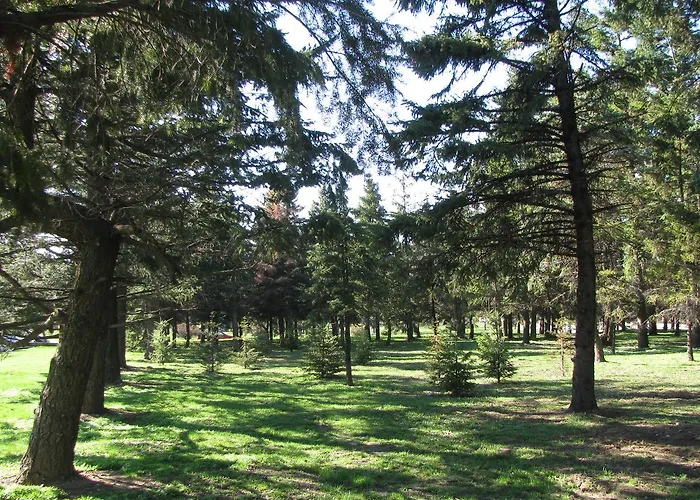 Hotel Bon Bon Park & Boyana